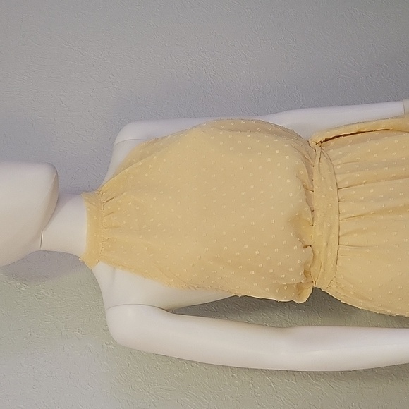 PRETTY GARDEN Ivory Swiss Dot Chiffon Tiered Halter Castlecore Dress - Picture 4 of 15